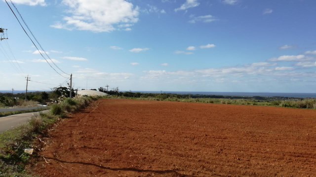 f:id:teryuryu:20191215053809j:image f:id:teryuryu:20191215053809j:image