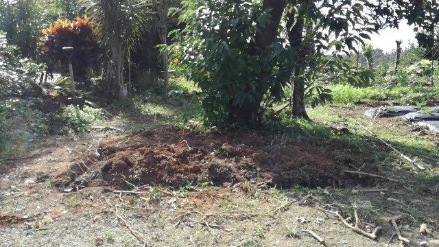 f:id:teryuryu:20191216071441j:image f:id:teryuryu:20191216071441j:image