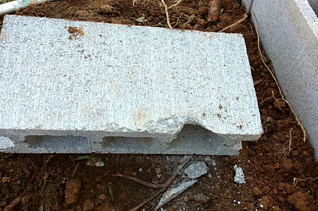 f:id:teryuryu:20191216071703j:image f:id:teryuryu:20191216071703j:image