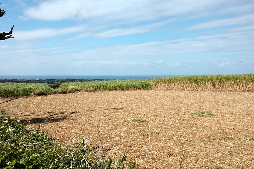 f:id:teryuryu:20191225035615p:plain