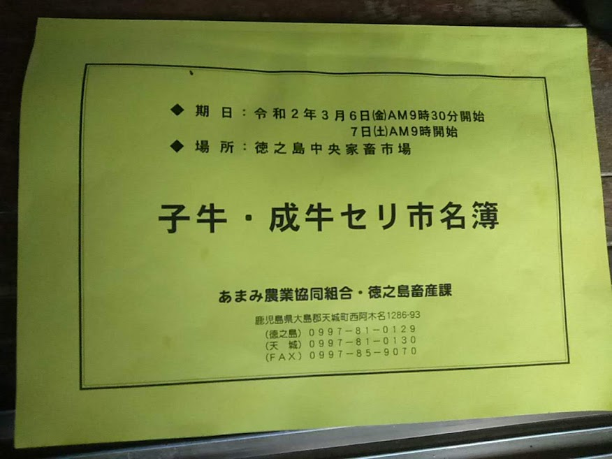 f:id:teryuryu:20200408132202p:plain f:id:teryuryu:20200408132202p:plain