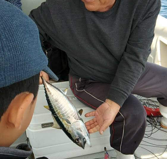 f:id:teryuryu:20200408133122p:plain f:id:teryuryu:20200408133122p:plain