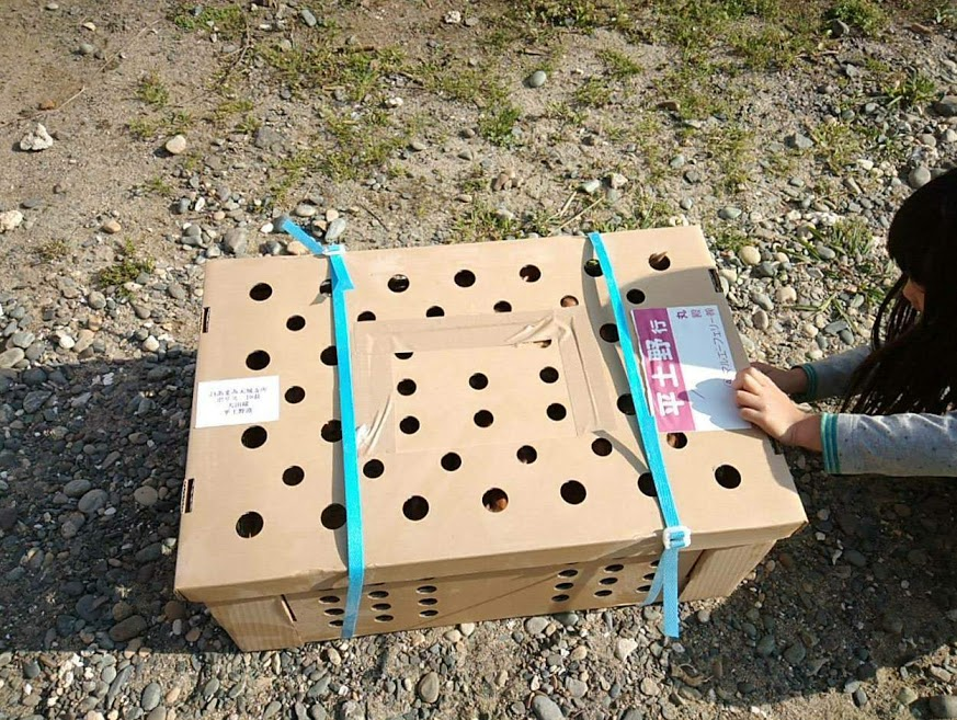 f:id:teryuryu:20200426144643p:plain f:id:teryuryu:20200426144643p:plain