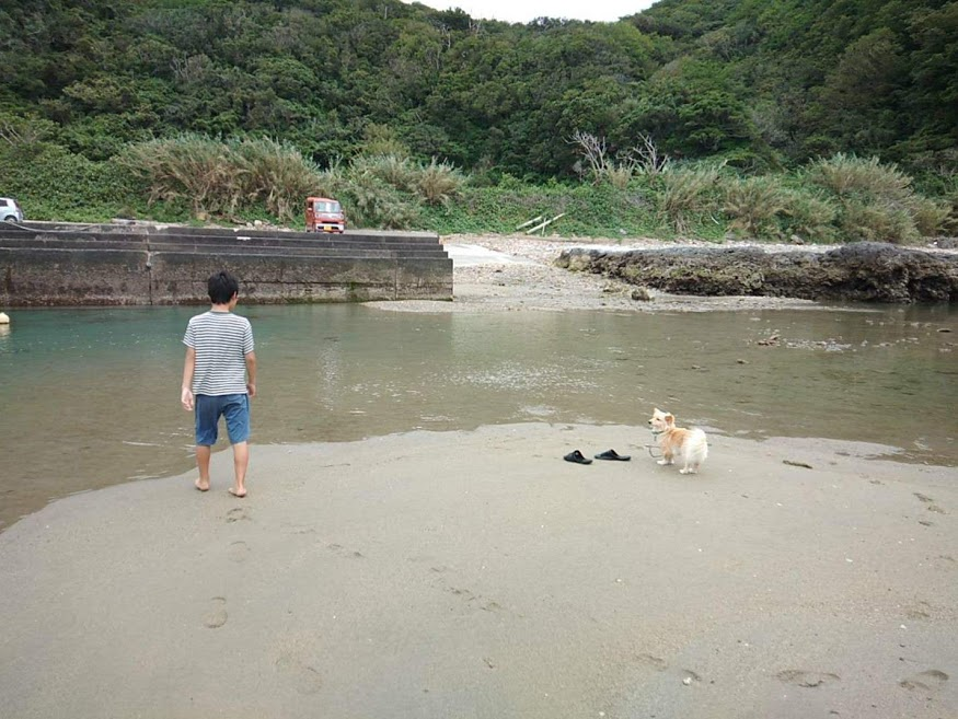 f:id:teryuryu:20200606040456p:plain f:id:teryuryu:20200606040456p:plain