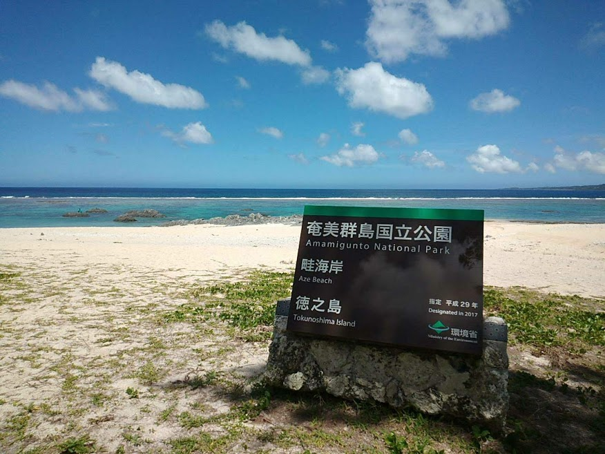 f:id:teryuryu:20200702191730p:plain f:id:teryuryu:20200702191730p:plain