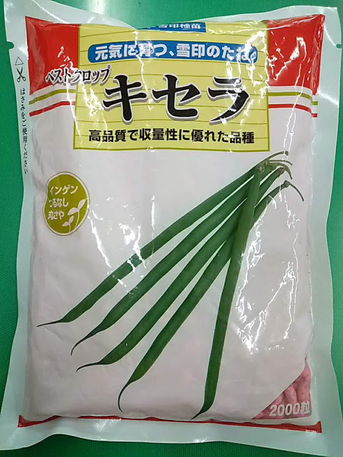 f:id:teryuryu:20201118061646p:plain