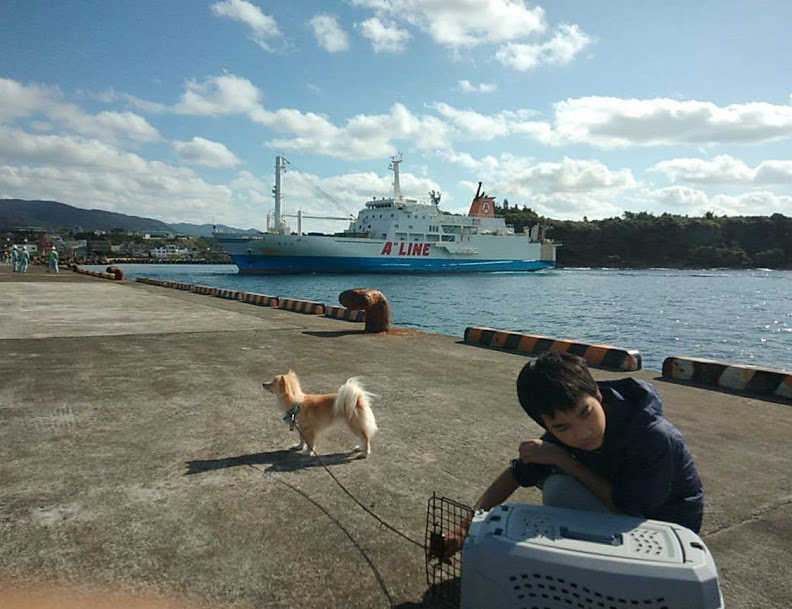 f:id:teryuryu:20210119025627p:plain