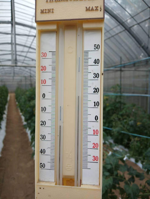 f:id:teryuryu:20210206183149p:plain