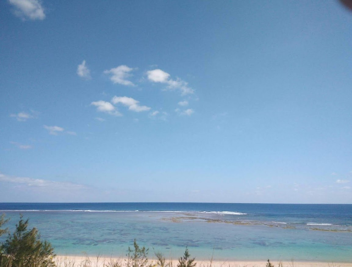 f:id:teryuryu:20210225045709p:plain