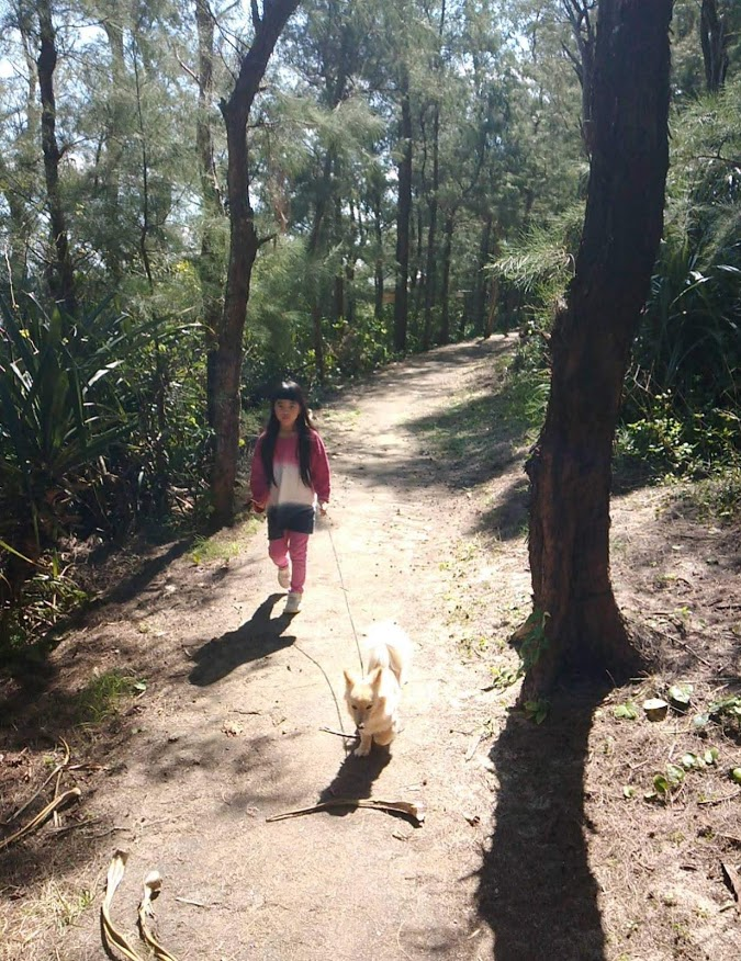 f:id:teryuryu:20210225045746p:plain