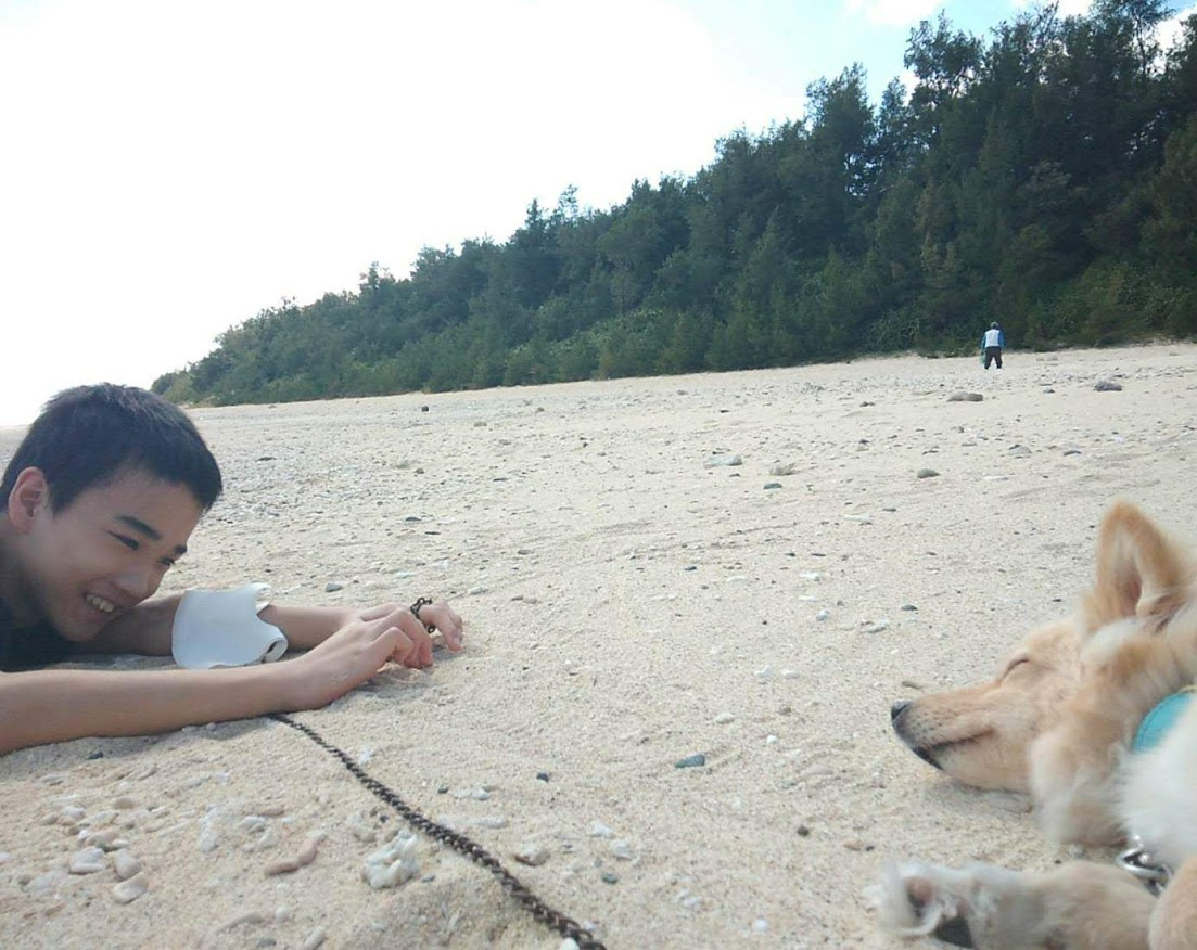 f:id:teryuryu:20210225045846p:plain