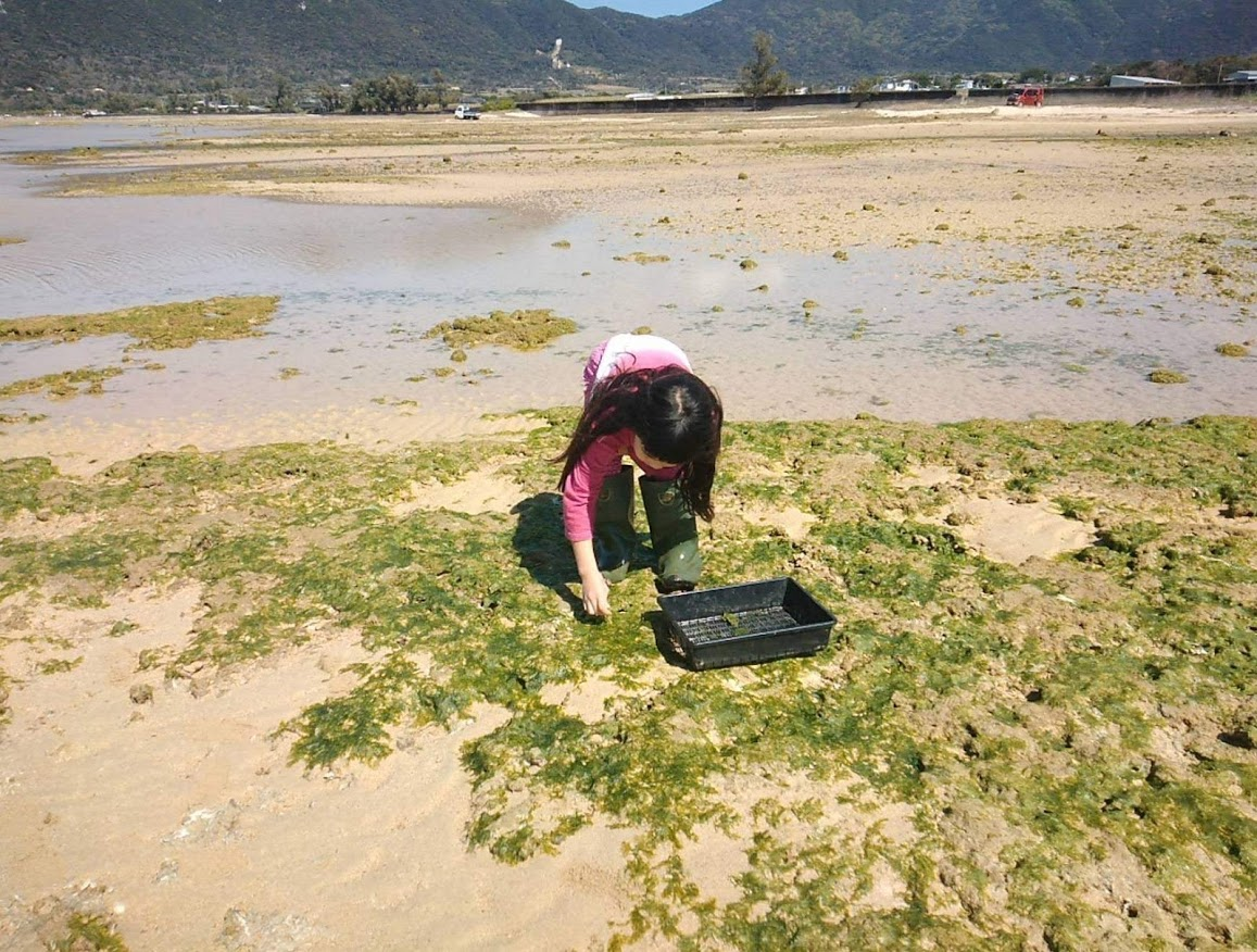 f:id:teryuryu:20210225050301p:plain