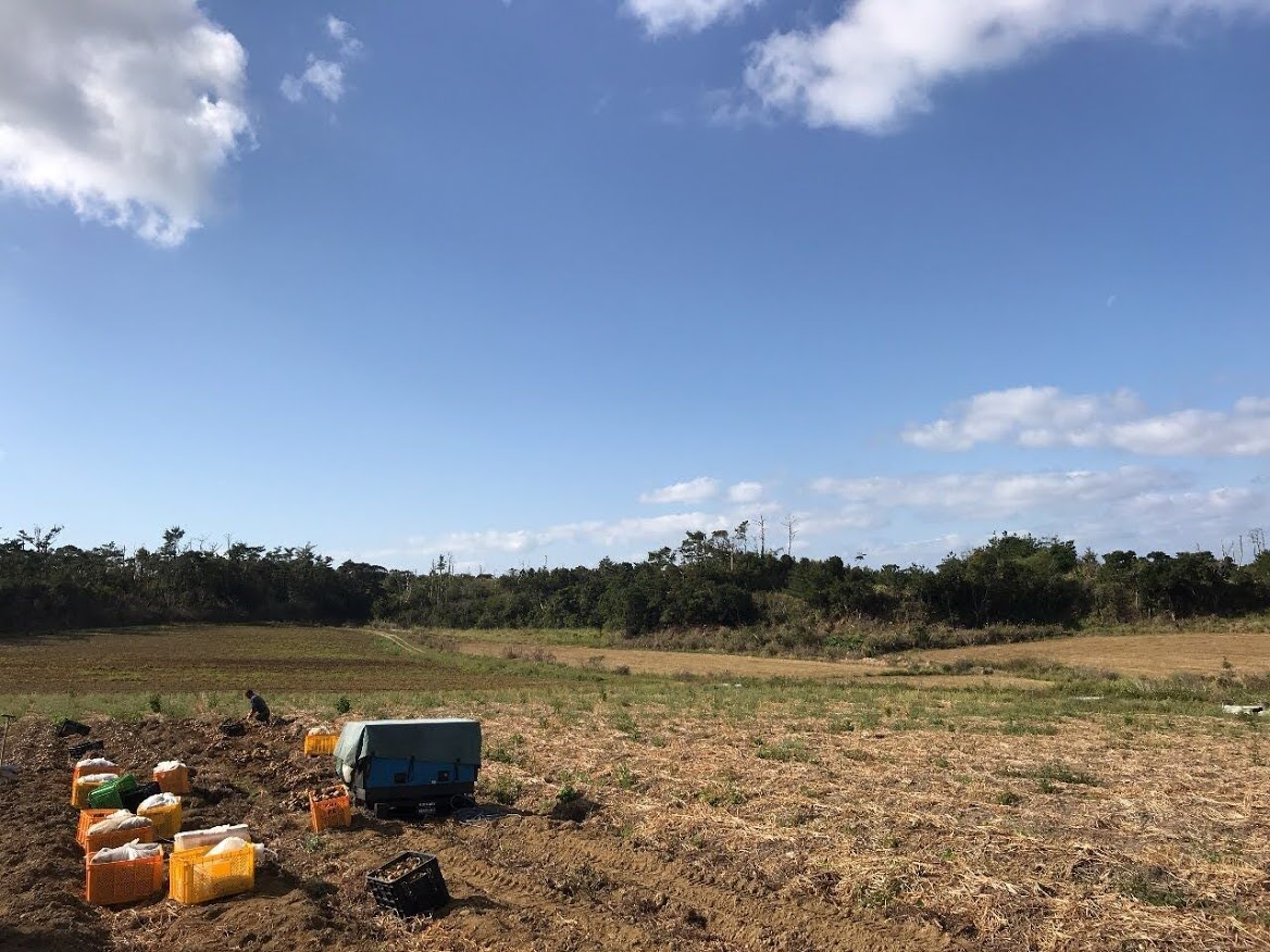 f:id:teryuryu:20210225050604p:plain