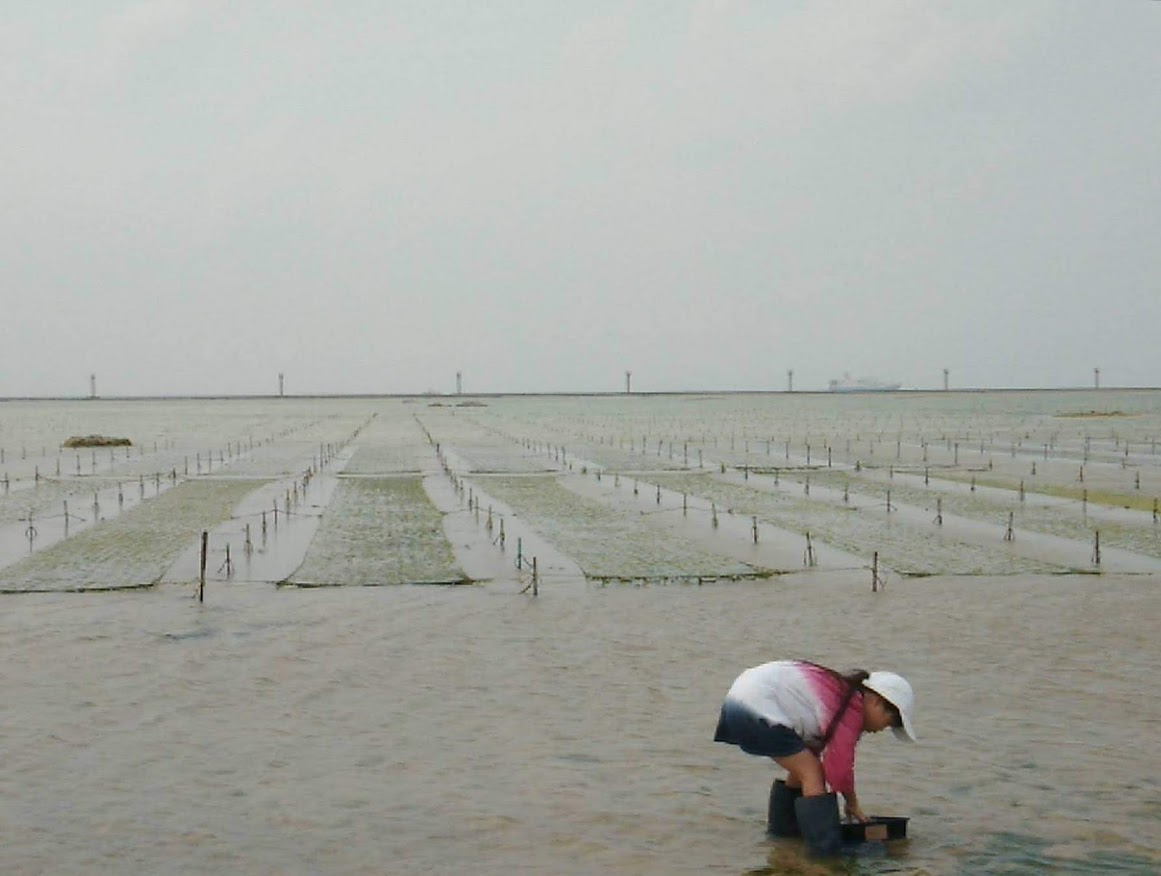 f:id:teryuryu:20210225050710p:plain