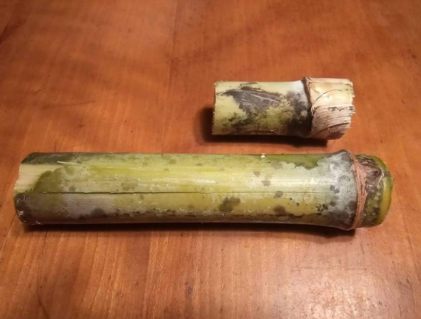 f:id:teryuryu:20210309200510p:plain