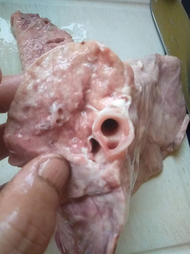 f:id:teryuryu:20210320163740p:plain