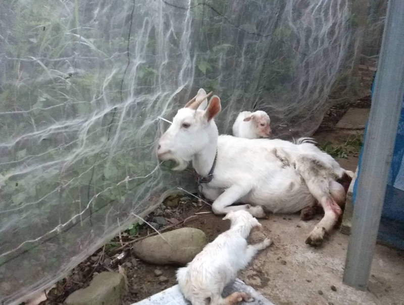 f:id:teryuryu:20210321054851j:plain