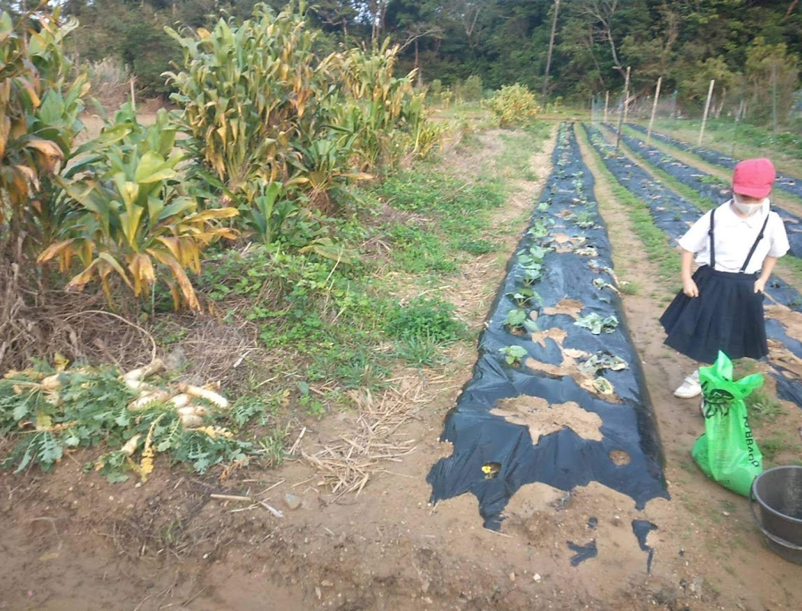 f:id:teryuryu:20210321060357p:plain