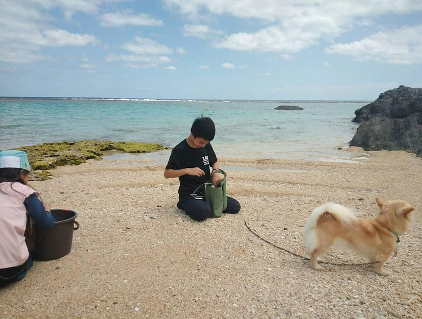 f:id:teryuryu:20210327053407p:plain