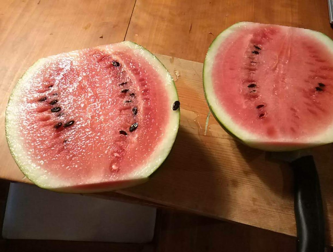 f:id:teryuryu:20210618025142p:plain