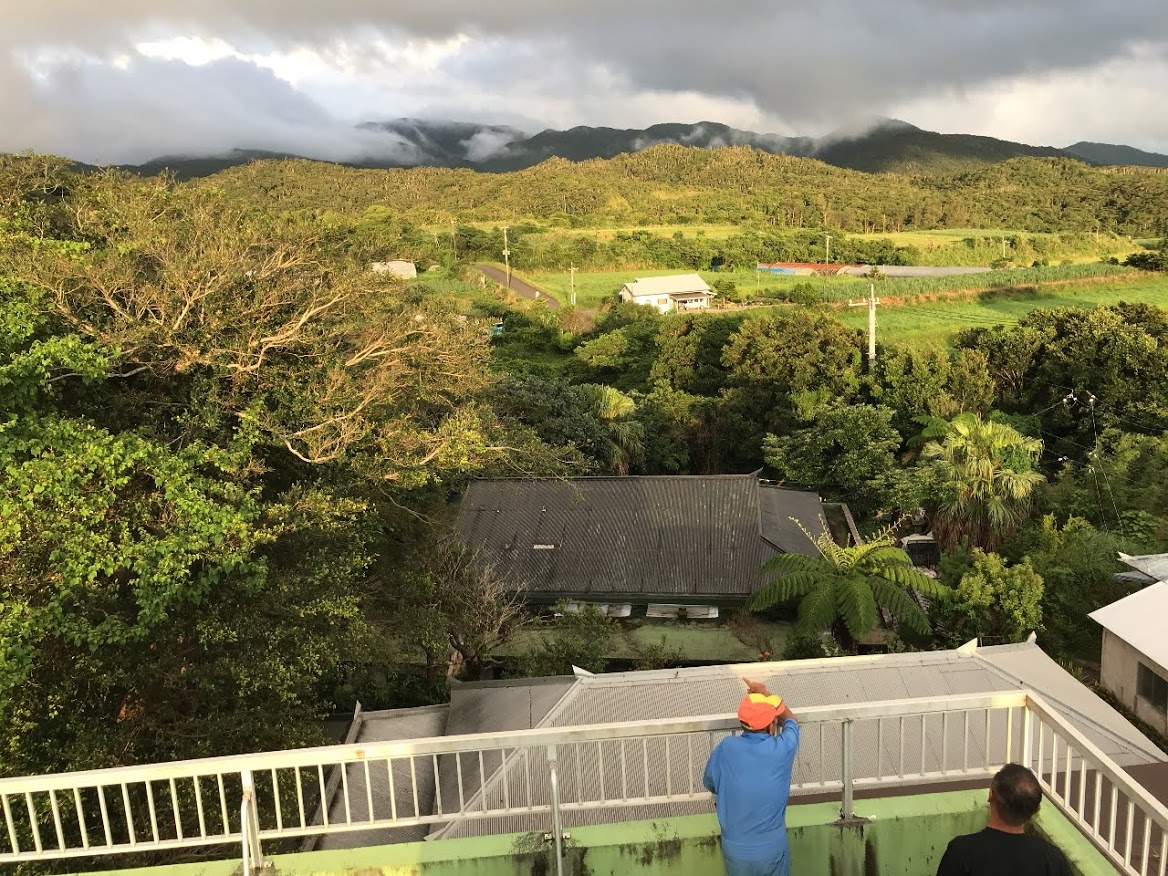 f:id:teryuryu:20210618030806p:plain