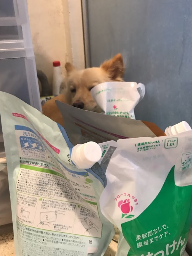 f:id:teryuryu:20210618031924p:plain