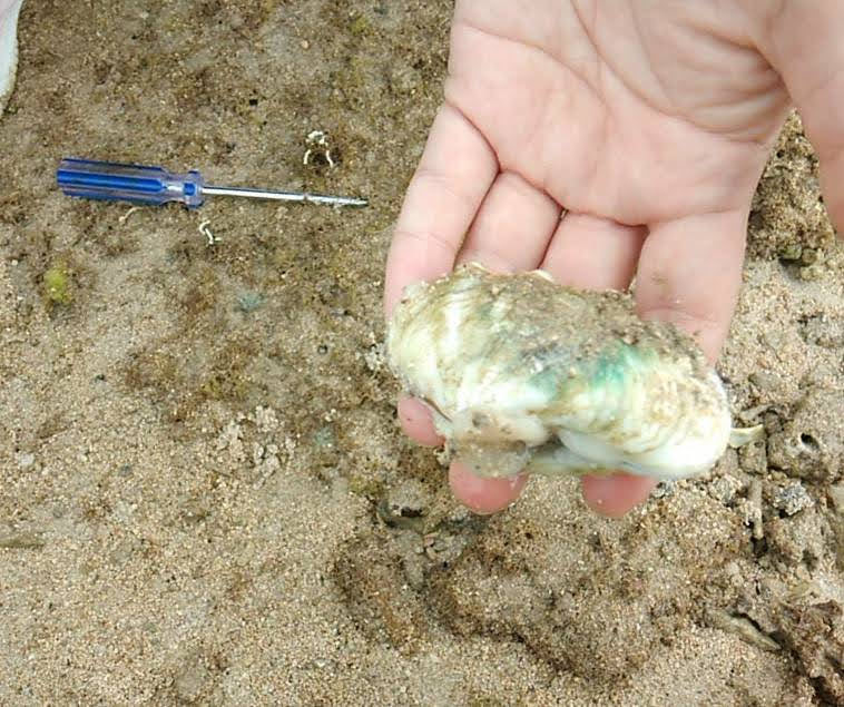 f:id:teryuryu:20210705045318p:plain