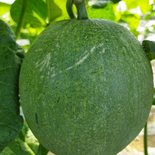 f:id:teryuryu:20211008131814j:image f:id:teryuryu:20211008131814j:image