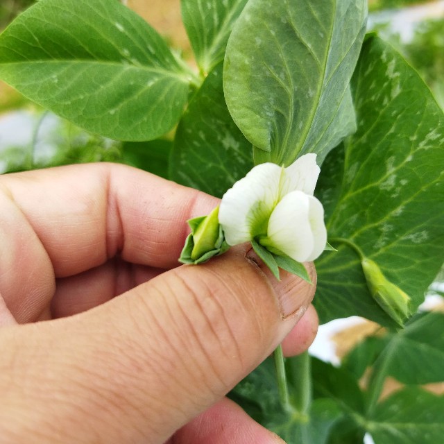 f:id:teryuryu:20211203045451j:image