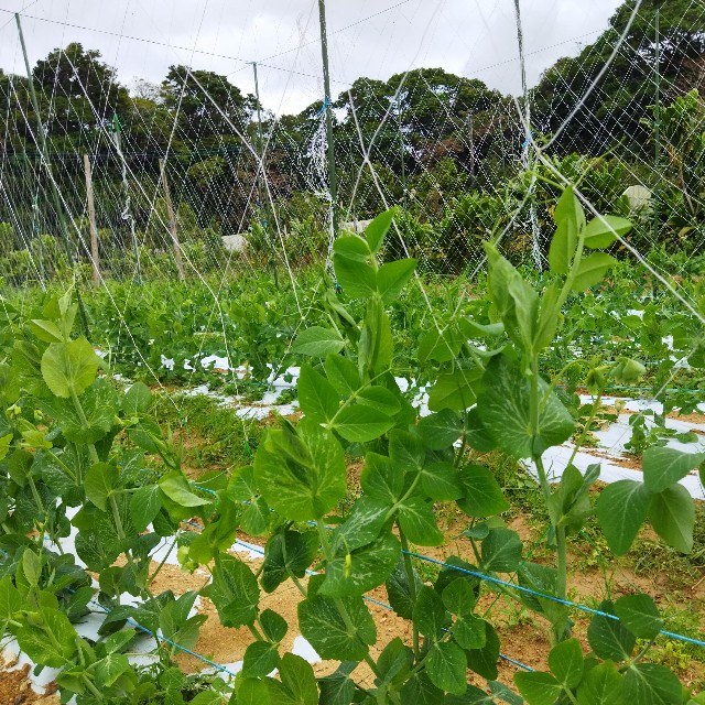 f:id:teryuryu:20211203045504j:image