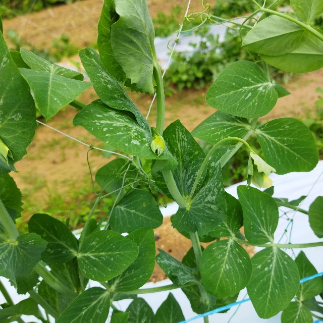 f:id:teryuryu:20211203045543j:image