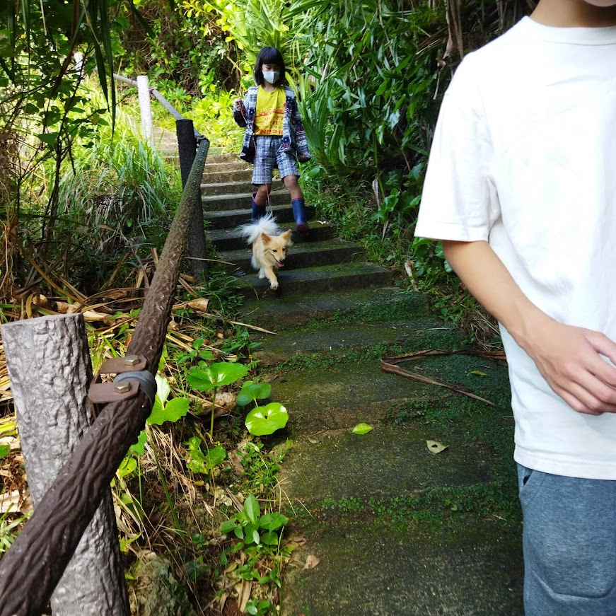 f:id:teryuryu:20211203064956p:plain