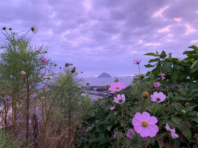 f:id:tesayutamali:20191130201417j:plain f:id:tesayutamali:20191130201417j:plain