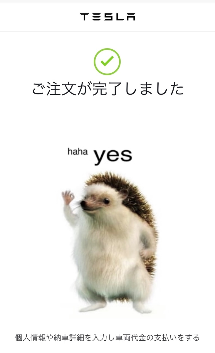 モデル3注文したよ - テスラと私
