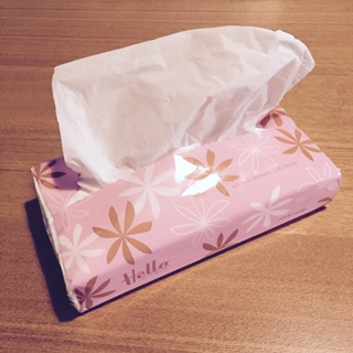 f:id:tesorosagashi:20170409162707j:plain