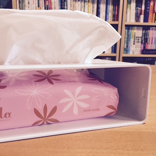 f:id:tesorosagashi:20170409163003j:plain