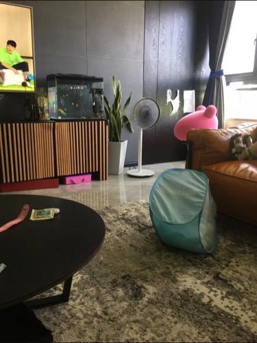 f:id:tesorosagashi:20180527173803j:plain