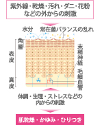 f:id:tesorosagashi:20181114112356j:plain f:id:tesorosagashi:20181114112356j:plain