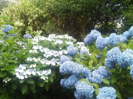 f:id:tessyu:20150802154604j:image f:id:tessyu:20150802154604j:image