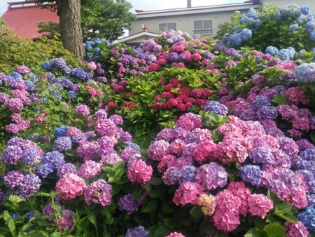 f:id:tessyu:20150802155003j:image f:id:tessyu:20150802155003j:image