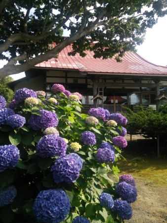 f:id:tessyu:20150802155815j:image f:id:tessyu:20150802155815j:image
