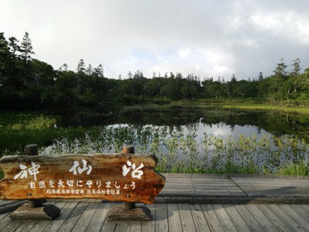f:id:tessyu:20150802171536j:image f:id:tessyu:20150802171536j:image