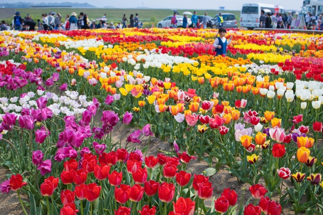 f:id:test008:20200124111600j:plain f:id:test008:20200124111600j:plain