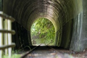 f:id:testcaremane:20210715141707j:plain