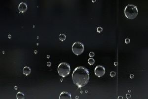 f:id:testcaremane:20210719142227j:plain