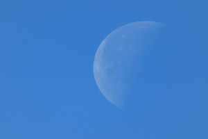 f:id:testcaremane:20210719145234j:plain