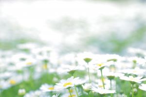 f:id:testcaremane:20210720161608j:plain