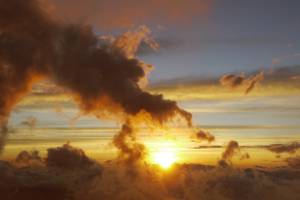 f:id:testcaremane:20210721163856j:plain