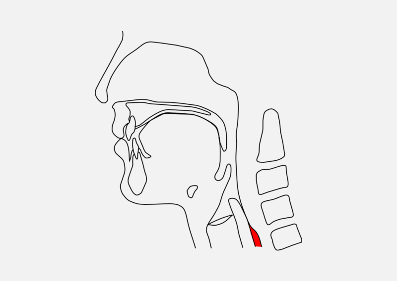 喉（喉頭）の入り口が開き、呼吸が再開された状態