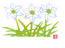 f:id:testizumi:20090323062501g:image